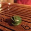 theteafrog