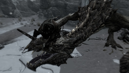 thebluefloof:More peeekturs! Reference material for a Frost dragon and a certain dragon who’s name I