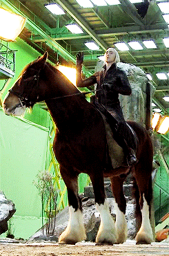 movienut14:  lukasnorth:  The horse Lee rode in The Hobbit, Moose (the one they CGI’d