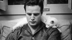 oldfilmsflicker:  Happy 90th Birthday Marlon