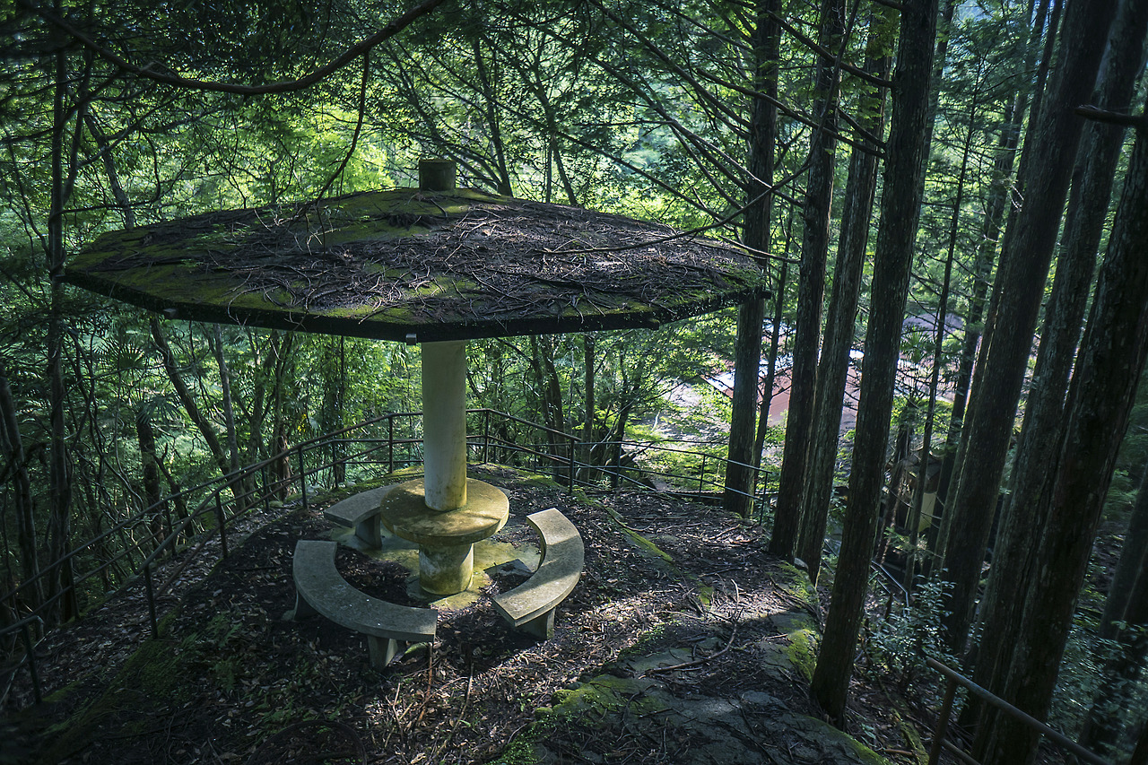 elugraphy:Abandoned   playground in forest 01.