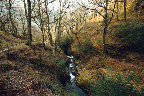  Glendalough, Ireland | April 9, 2013 