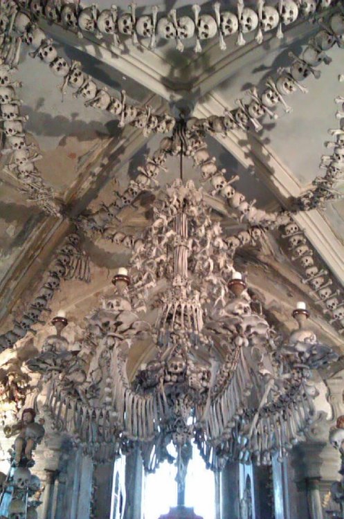 doomnomad:Sedlice Ossuary, Kutna Hora.(July 2012)