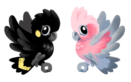 Since I decided to add the female gang-gang cockatoo to go with the male one (and for some reason th