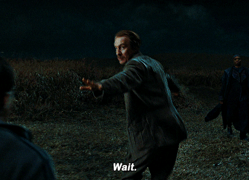 HARRY POTTER AND THE DEATHLY HALLOWS: PART 1 (2010)