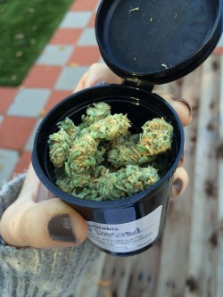 reddlr-trees:  love seeing a full container of beautiful bud 💕 blue dream is the best!!