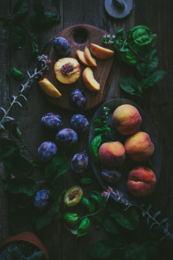 wistfullycountry:  Stone Fruit Pies | Adventures in Cooking 