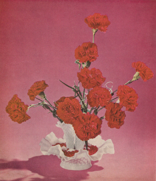 minnagilligan:Picture I scanned from ‘Better Homes and Gardens: Flower Arranging’ (1957) I die for t