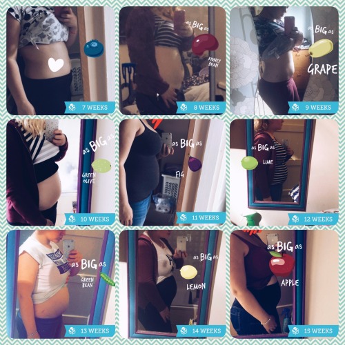 youngmummablogs: Bump progress week 7-15! I found out I was pregnant at 6 and a half weeks! So that