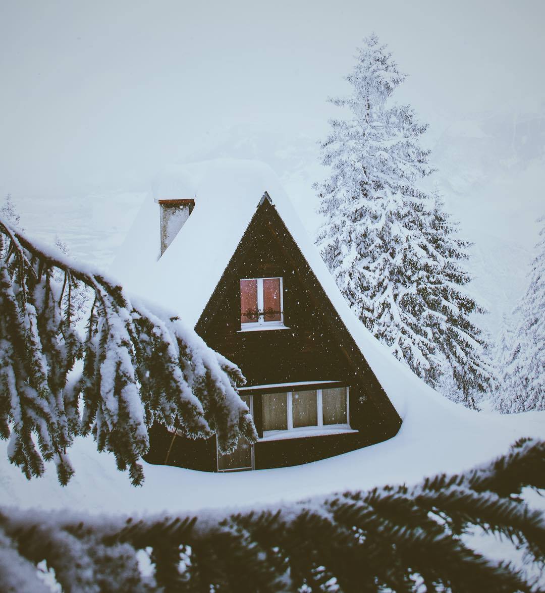 nosens:by _fabiozingg