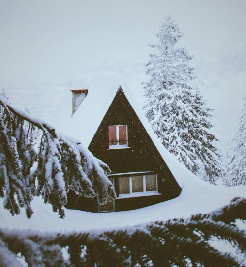 nosens:by _fabiozingg