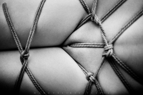 Porn photo   rope poems by marcuslikesit