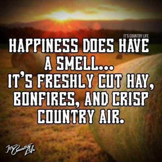 redriver56:    It brings happiness to this country boy @candyskinkyplace 