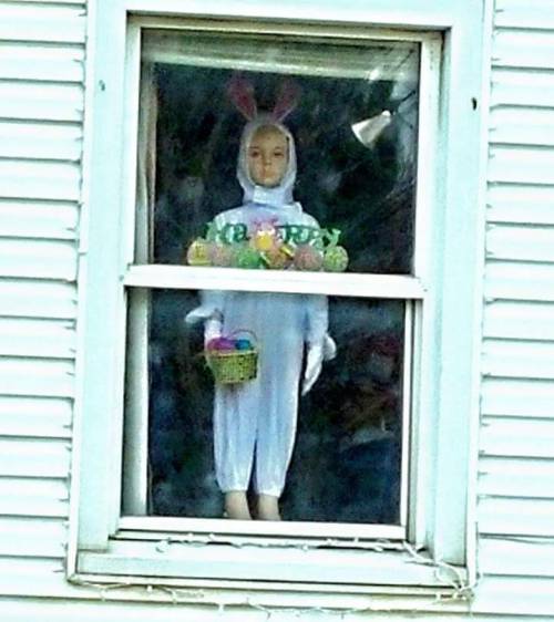 emmiinwonderland:sixpenceee:Submitted by pantsnew.My neighbor is a single old man with no children o