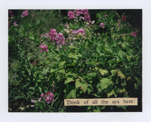 Think about it, Sweet Pea. Photographed (and collaged) by Me on Fuji 100c.