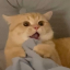 seochimchim