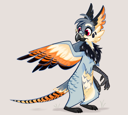 despazito:i’ve always wanted a griffon oc and finally settled on a design, she’s made of several beasts