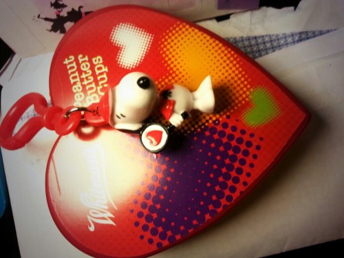 I never get Saint Valentine’s day presents but I finally got one this year!  Enter Snoopy, lov