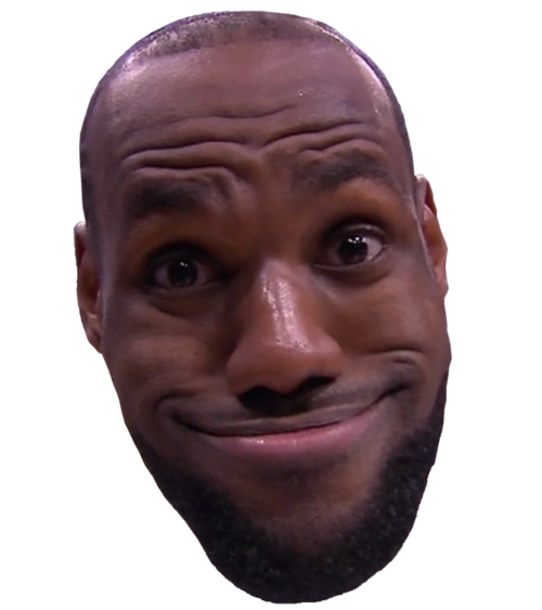 milkygriffs:  grapez:  fuckyealebronjames:  Because everybody needs a LeBron head