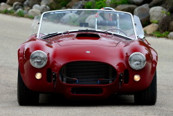 fullthrottleauto:   1966 Shelby Cobra 427 S/C (CSX 3272)   What do you think about the colour?