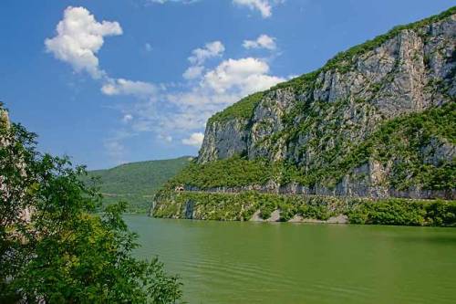 kristo-flowers:River Donau