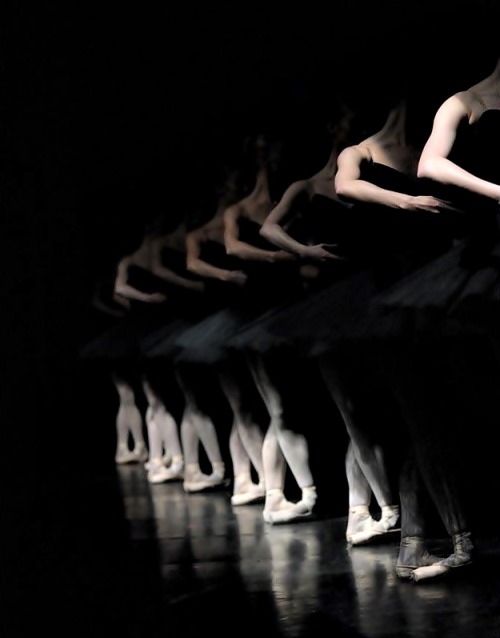 invisible-enpointe:annajungdesign:        English National Ballet – Fotografía de Laurent Liotardo       - - - 