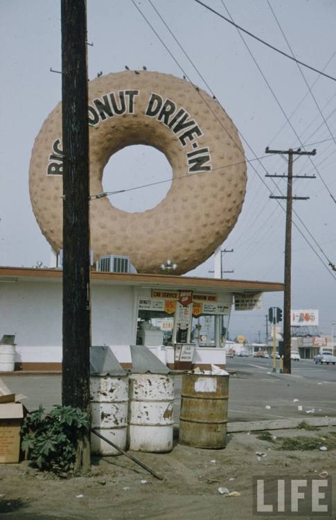 Big Donut(Leonard McCombe. 1957)