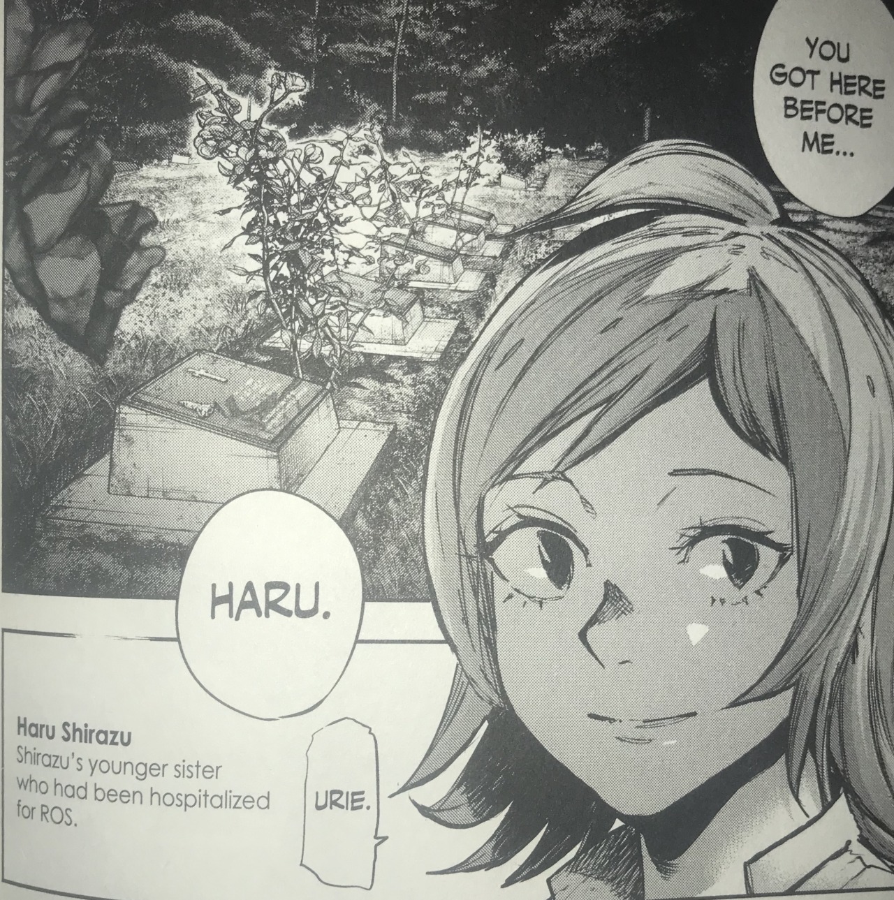 Haru Shirazu Tumblr Posts Tumbral Com Haru Shirazu Tumblr Posts Tumbral Com