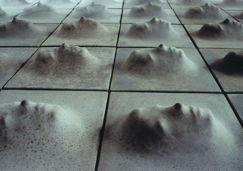 rouxe:  Multiple Kulturlandschaft Jürgen Waxweiler (1999) 