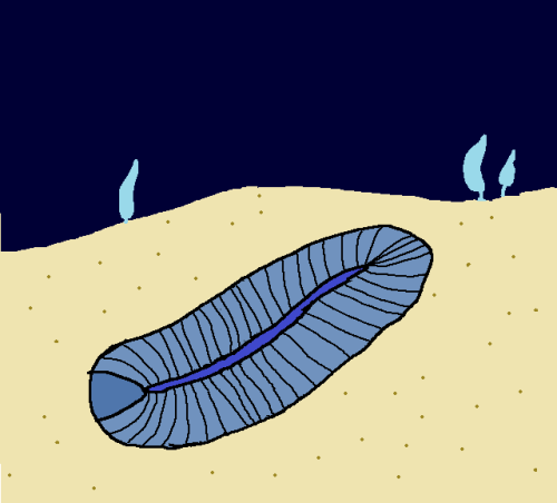 Dickinsonia – Late Ediacaran (558-555 Ma)I may have been a little too quick to declare the end