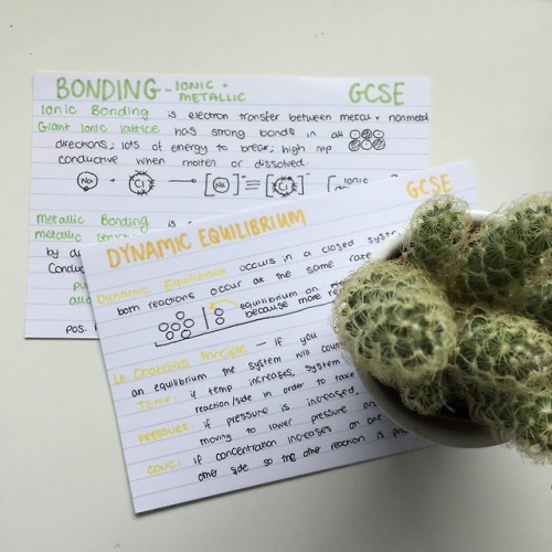 chem + cacti on a chilled sunday morning 