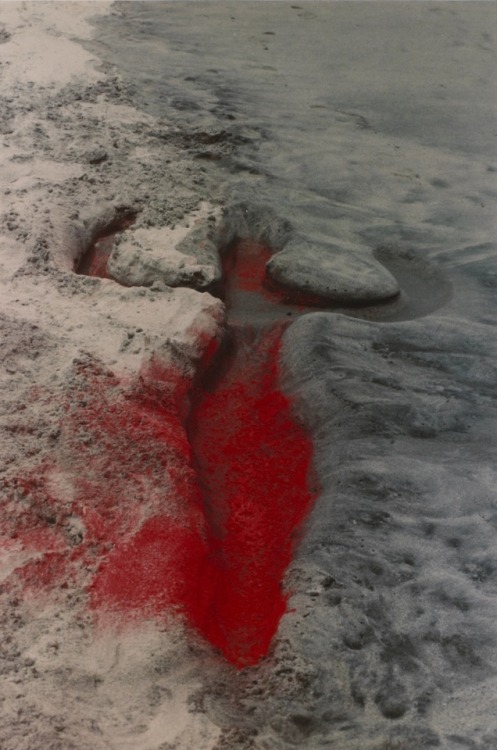 take-it-sloooooow:Ana Mendieta1948 ‐ 1985“Silueta Works in Mexico”