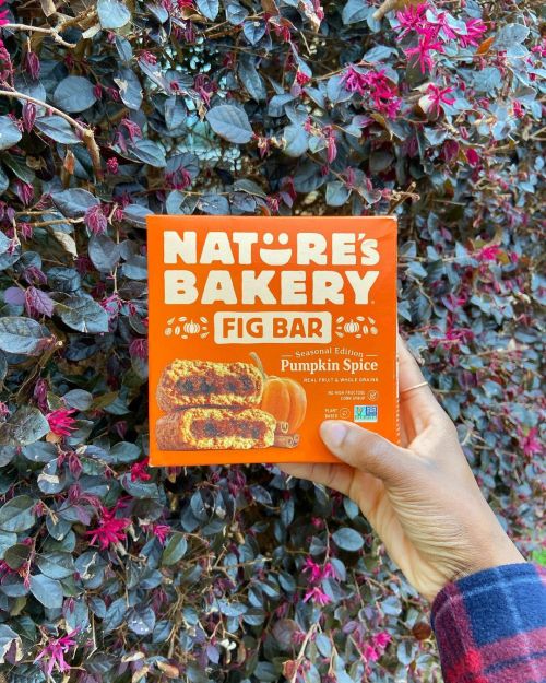 Pumpkin Spice I took my time eating these @naturesbakery “Seasonal Edition” Pumpkin Spice fig bars. 