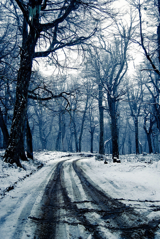 pela-schmidt:  Winter Blues, Challhuaco Valley, Patagonia, Argentina.©Pela SchmidtTumblr