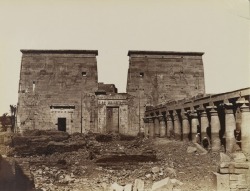 grandegyptianmuseum:  Philae, view of the