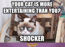 realgrumpycat:  ##TheFriskies wants all you