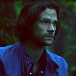 ･ﾟ✬Supernatural Last Ep~･ﾟ☼hope u like it. Follow us for much morelike or reblog this post if you sa