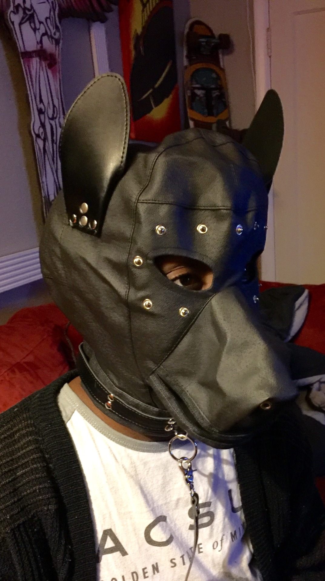 thedoghouse09:Finally got @iamapaperuniverse something to cover up that disgusting