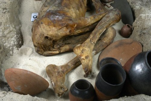 ~ Predynastic Egyptian Man.