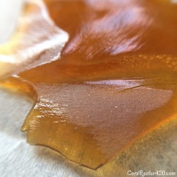 coralreefer420:  I loaded myself a generous slab of the Tangie from iMedz (@nuthin_but_nectar_extracts) and dabbed it on the quartz nail. A few minutes later someone walked in the room and instantly asked if I’ve smoked Tangie. It’s that fragrant