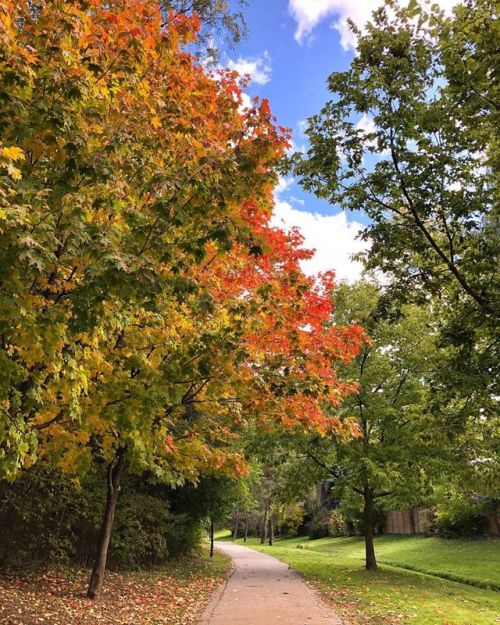 Happy for the quality time with my mom this weekend #fall #autumn #weekend #pretty #canada #toronto 