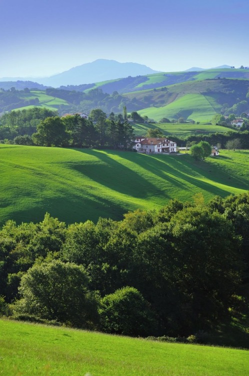 beautiful-basque-country: Green, green, green. View near Sara.