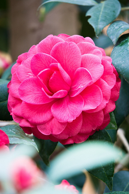 atraversso:  週末愉快！ by Ethan ♥ on Flickr.