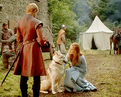 madaboutasoiaf:Sansa and LadyShe was the smallest of the litter, the prettiest, the most gentle and 