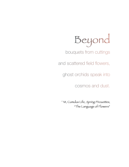 Beyond bouquets &hellip;