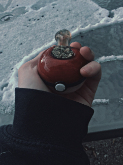 yourganjaqueen:  Gotta toke em’ all ! 🌳💚