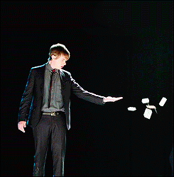 danedehaan:  &ldquo;A lion does not feel guilty when it kills a gazelle. You