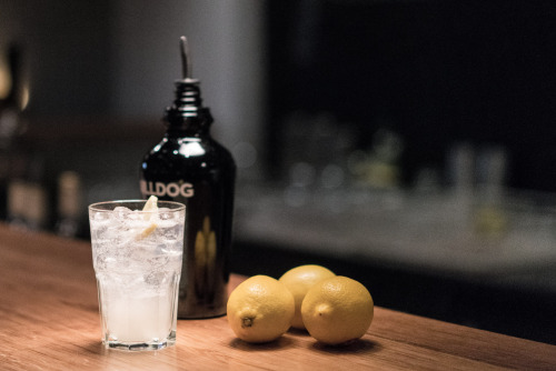 BULLDOG GIN | 3 DIFFERENT WAYS TO DRINK ITBack home with a little Gin Tasting at ‘Said the But