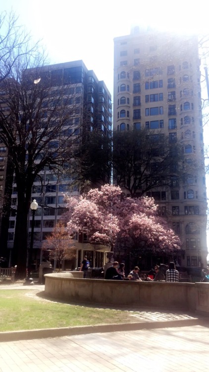 extracocoa:  enjoying the day at Rittenhouse 