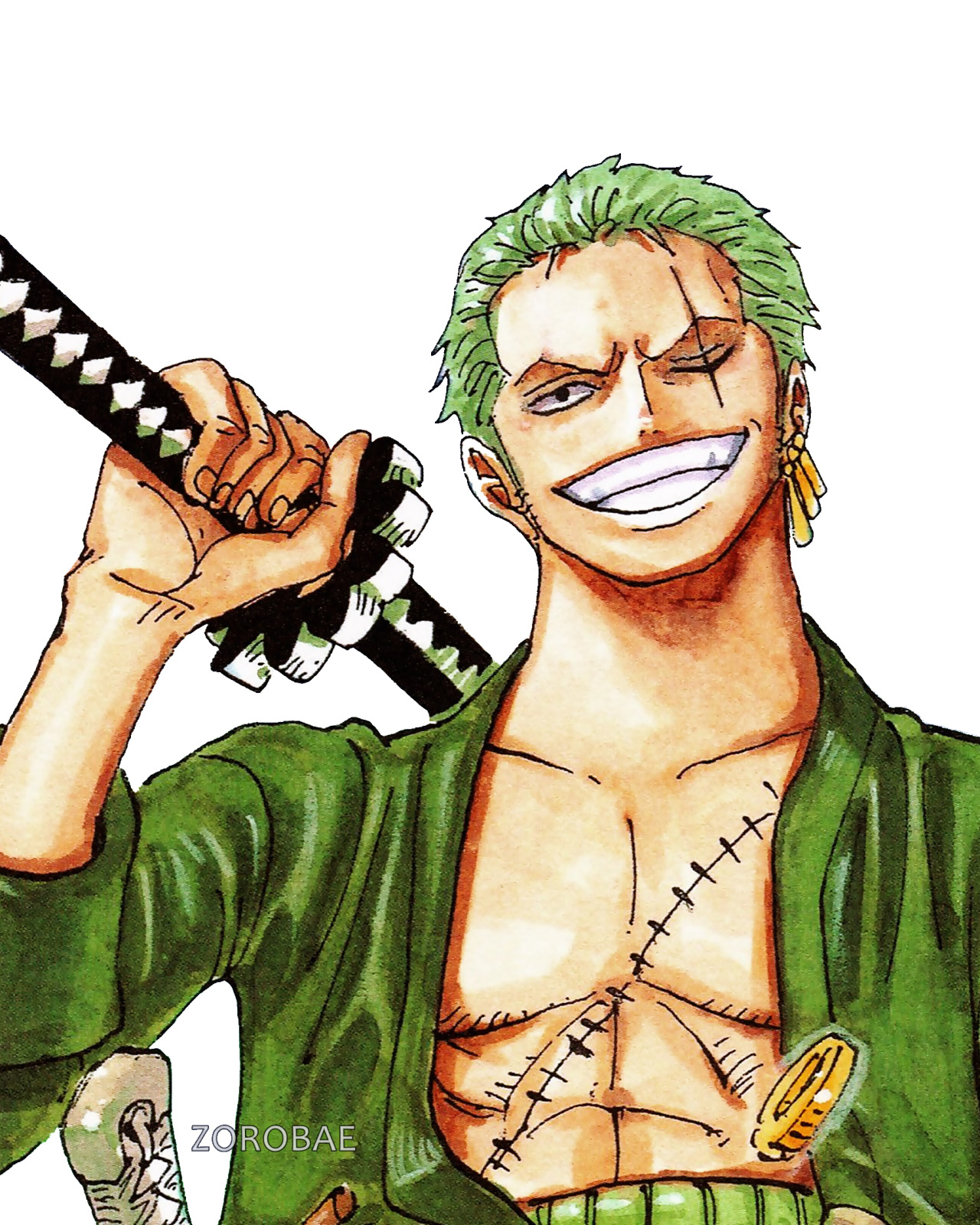 Zoro Understands Luffy